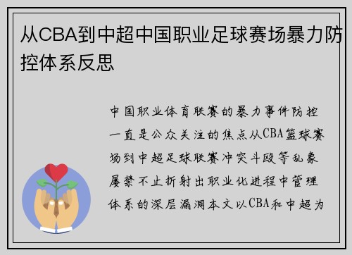 从CBA到中超中国职业足球赛场暴力防控体系反思
