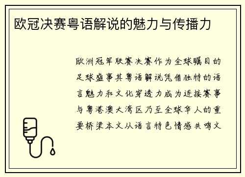 欧冠决赛粤语解说的魅力与传播力