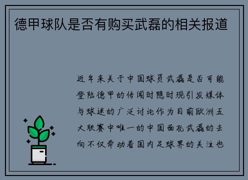 德甲球队是否有购买武磊的相关报道